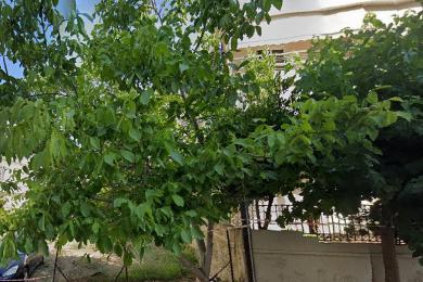 Land Sale - GLYFADA, ATTICA