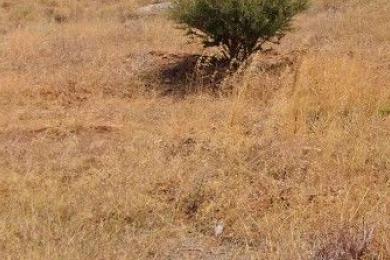 Land Sale - VARI, ATTICA