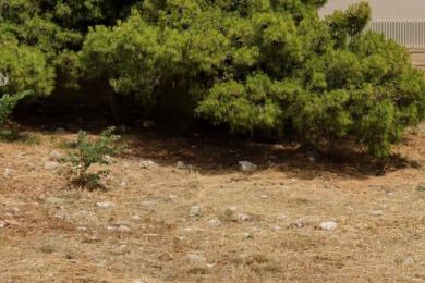 Land Sale - VOULA, ATTICA