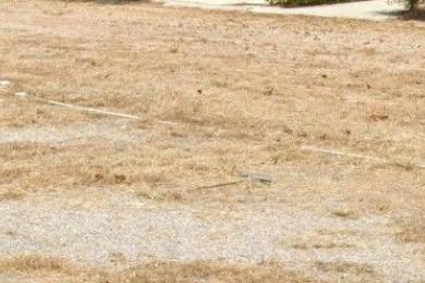 GLYFADA, Land, Sale, 600 sq.m