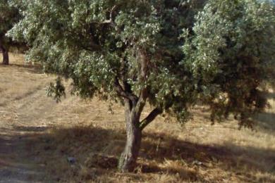 VARI, Land, Sale, 1080 sq.m