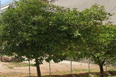 VYRONAS, Land, Sale, 147 sq.m