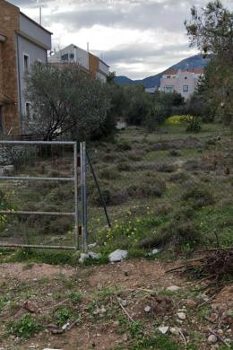 , Land, Sale, 1000 sq.m