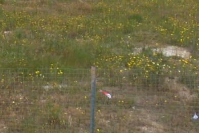 GLYFADA - PANIONIA, Land, Sale, 820 sq.m