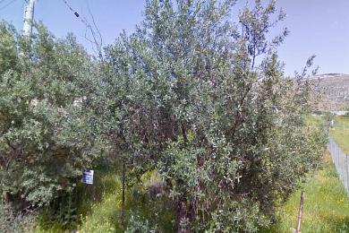 Land Sale - GLYFADA, ATTICA