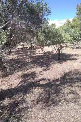 SARONIDA, Land, Sale, 780 sq.m