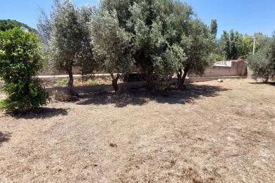 ΑΝΑΒΥΣΣΟΣ, Οικόπεδο, Πώληση, 450 τ.μ